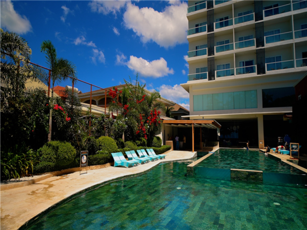 [보홀 / 솔레아 슈페리어] 거북이스노쿨링+돌핀왓칭 3박5일