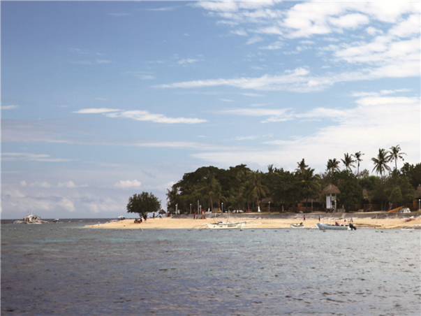 [보홀 / 솔레아 슈페리어] 거북이스노쿨링+돌핀왓칭 3박5일