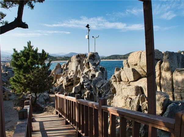 강원도 고성 당일여행 ＜지자체지원특가/해파랑길＞