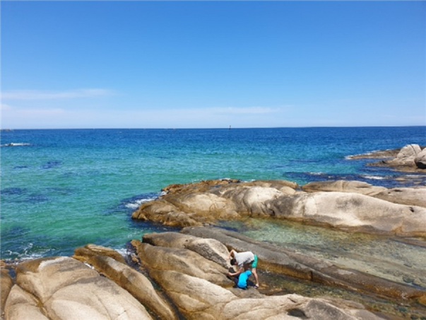 강원도 고성 당일여행 ＜지자체지원특가/해파랑길＞