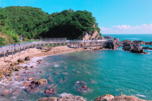 [KTX] 강원도 동해 강릉 당일여행