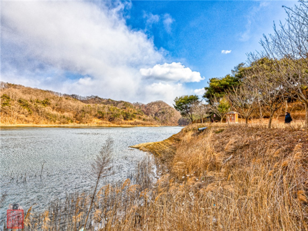 [집중모객]충청도 대전 당일여행 ＜지자제지원특가/장태산휴양림＞
