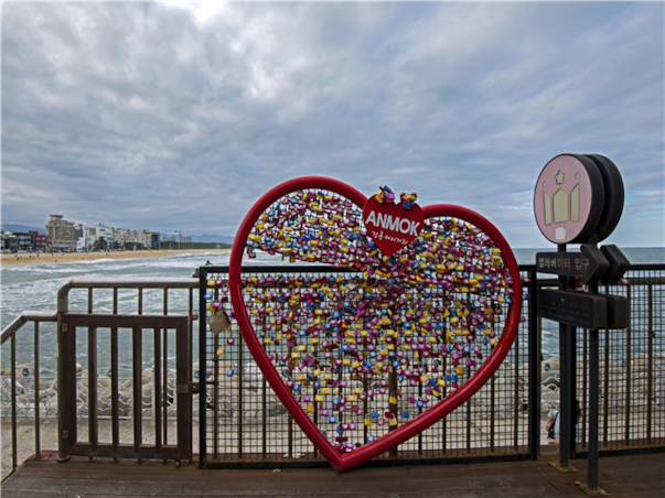 [집중모객]강원도 강릉 동해 당일여행 ＜해안선기차여행＞