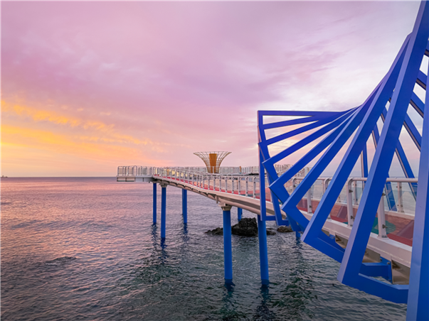[집중모객]강원도 강릉 동해 당일여행 ＜해안선기차여행＞