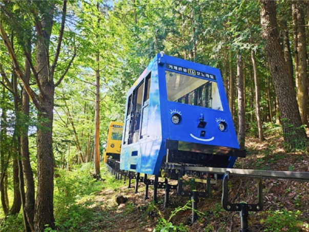 [KTX-호텔] 경상도 부산 외도 거제 1박2일 ＜쪽빛바다 감성＞