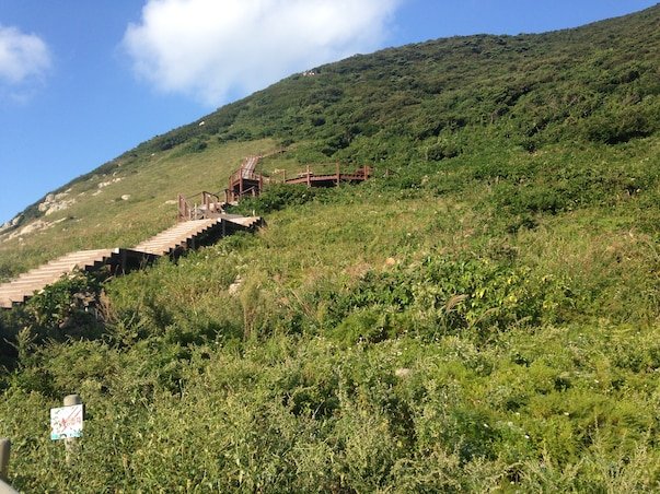 [SRT/목포항] 홍도 흑산도 3일 ＜쾌속선/모텔급/홍도유람선＞