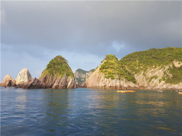 [SRT/목포항] 홍도 흑산도 2일 ＜쾌속선/모텔급/홍도유람선＞