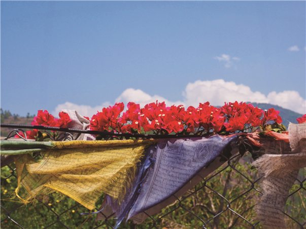 행복의 나라 부탄 항공 일주 9일 ＜노쇼핑/비자포함/국내선이동2회.탁상사원＞