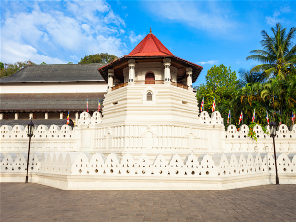 [불교문화탐방] 준특급 스리랑카 완전일주 8일 ＜노쇼핑/노옵션＞ (콜롬보/아누라다푸라/미힌탈레/담불라/폴론나루와/시기리야/캔디/벤토타)