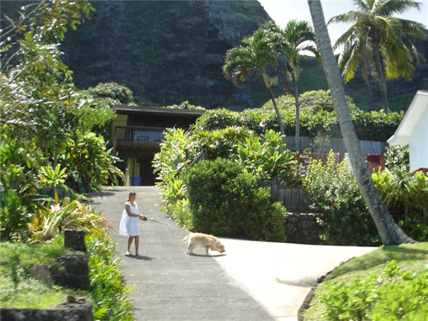 [UP][슬림][관광1일+자유3일] 초특급 쉐라톤 와이키키 ＜파셜오션뷰-＞오션프런트＞ 하와이 6일