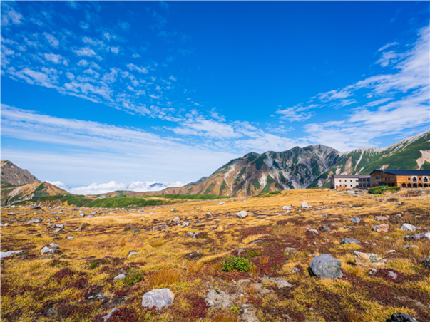 [실속/가을~겨울이오면~알펜루트] 나고야/가나자와/알펜루트 온천 4일(알펜루트횡단/시라카와고)
