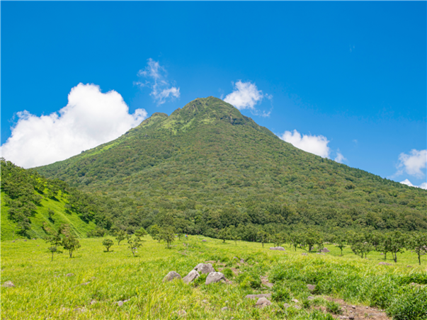 [출발확정][오색단풍, 완벽조합 가을큐슈] 후쿠오카/유후인/벳부/아소 4일 (신상료칸호텔/대게뷔페식/술음료무제한)
