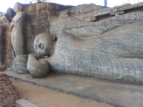 [비즈니스석] 특급 스리랑카 문화탐방 8일＜노팁/노쇼핑/노옵션/비자포함＞(얄라국립공원 사파리투어, 나인아치브릿지, HIGH TEA)