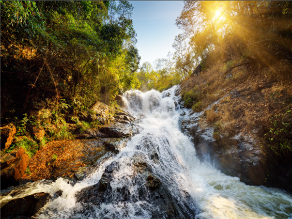 [비즈니스탑승][노쇼핑/노옵션/노팁] 7대옵션+미식여행 나트랑X달랏 패키지 3박5일[5성]
