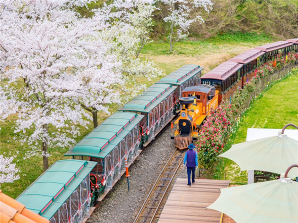 [광주출발][모두단독] 제주도 SNS핫플 3일 ＜노팁/노옵션/스누피가든/승마/4명부터출발확정＞