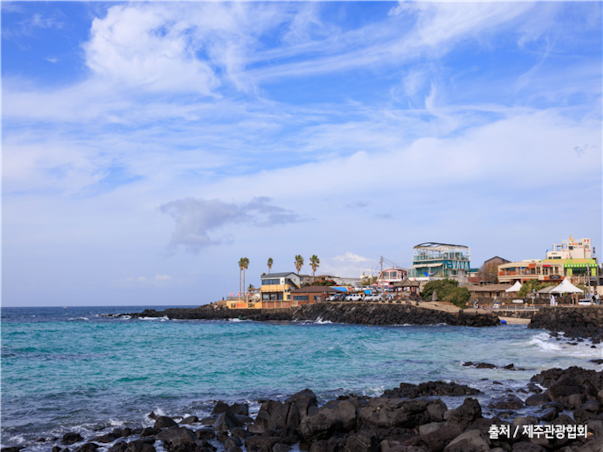 [부산출발][모두단독] 제주도 가족추천 3일 ＜노팁/노옵션/981파크/테마파크/4명부터출발확정＞