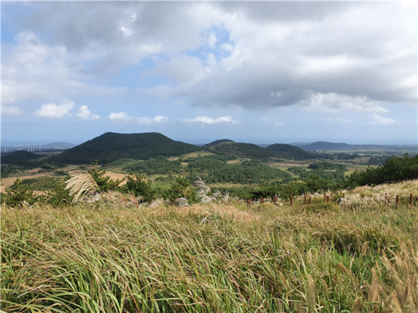 [세미팩] 제주도 3일 ＜리젠트마린호텔/1일자유+2일관광/4명부터출발＞