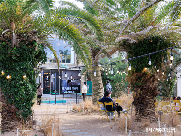 [대구출발][모두단독] 제주도 가족추천 3일 ＜노팁/노옵션/981파크/테마파크/4명부터출발확정＞