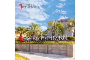 [4성급] 호텔 더본 제주