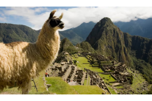 [하이클래스] 중남미 4개국 18일 