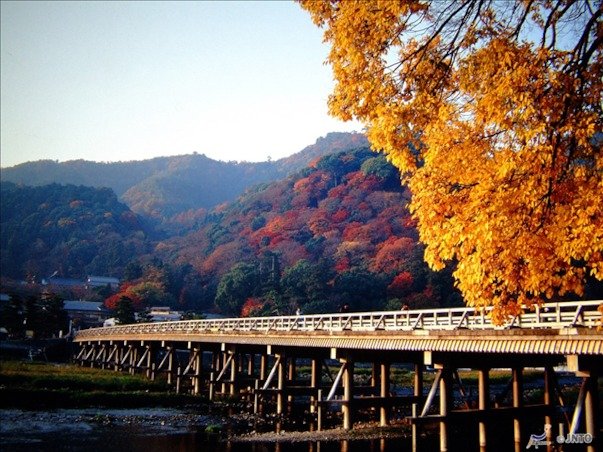 [오후OZ,여유로운출발] 오사카/교토/아라시야마/나라 4일 (1일자유/시내연박/3대특식/USJ선택가능)
