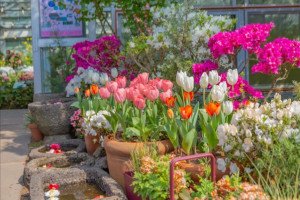 [이스타항공 특가] [힐링BEST] 펠롱펠롱 제주 3일 