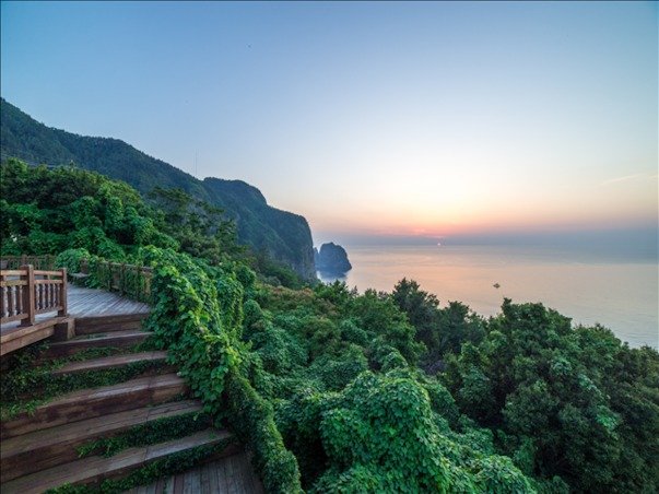 [포항영일만항] 울릉도 독도 3일