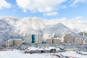 소노벨 비발디파크 B , C