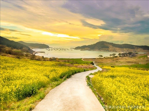 [KTX-모텔] 완도 보길도 청산도 1박2일 