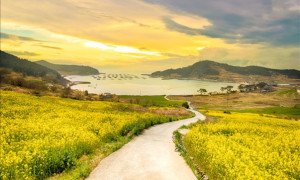 [KTX-모텔] 완도 보길도 청산도 1박2일 